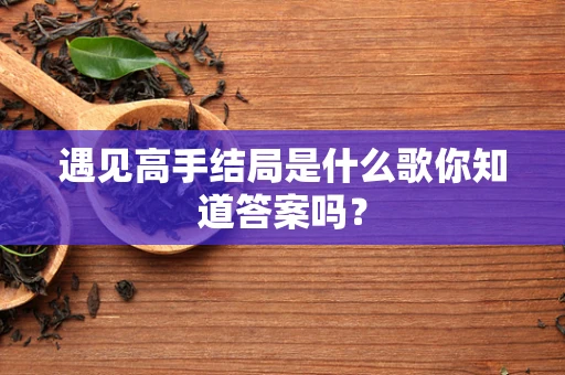 遇见高手结局是什么歌你知道答案吗？