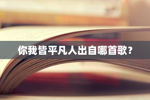 你我皆平凡人出自哪首歌？