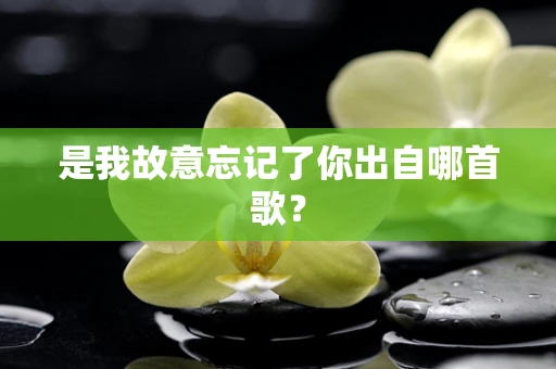 是我故意忘记了你出自哪首歌？