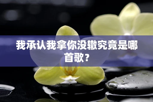 我承认我拿你没辙究竟是哪首歌？