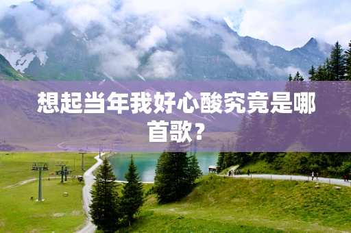 想起当年我好心酸究竟是哪首歌？