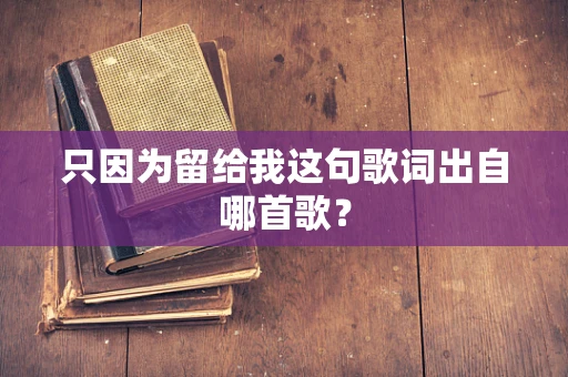只因为留给我这句歌词出自哪首歌？