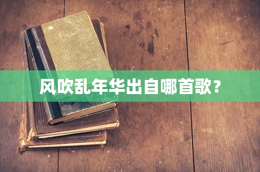 风吹乱年华出自哪首歌？