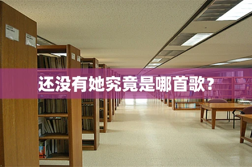 还没有她究竟是哪首歌？