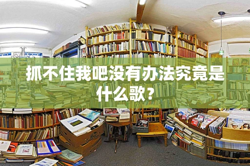 抓不住我吧没有办法究竟是什么歌？