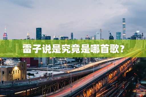 雷子说是究竟是哪首歌？