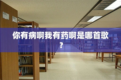 你有病啊我有药啊是哪首歌？