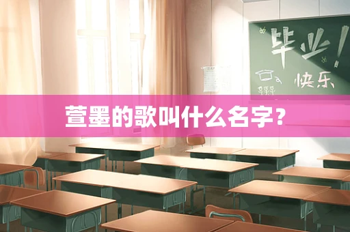 萱墨的歌叫什么名字？