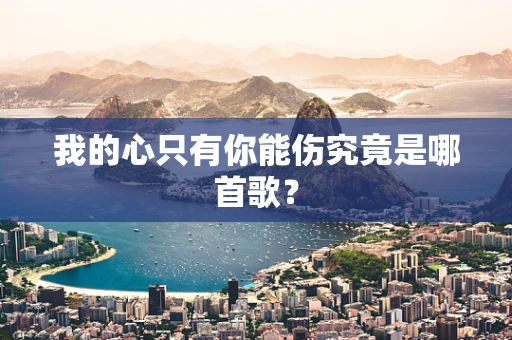 我的心只有你能伤究竟是哪首歌？