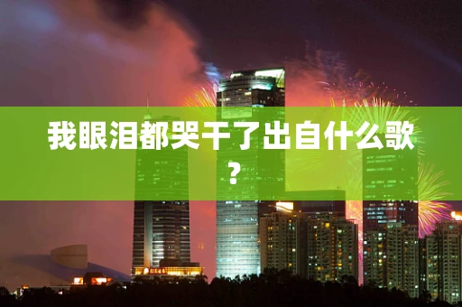 我眼泪都哭干了出自什么歌？