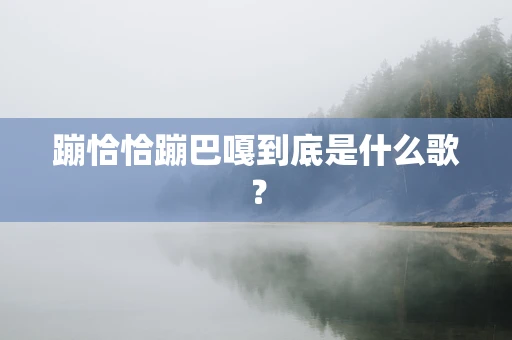 蹦恰恰蹦巴嘎到底是什么歌？