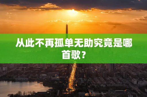 从此不再孤单无助究竟是哪首歌？