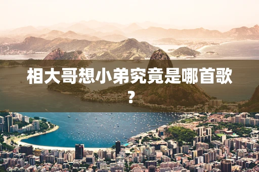 相大哥想小弟究竟是哪首歌？