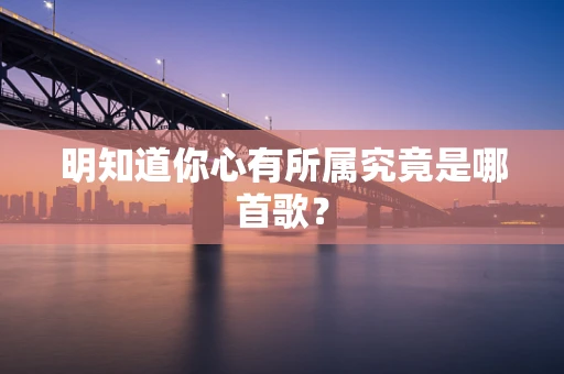 明知道你心有所属究竟是哪首歌？