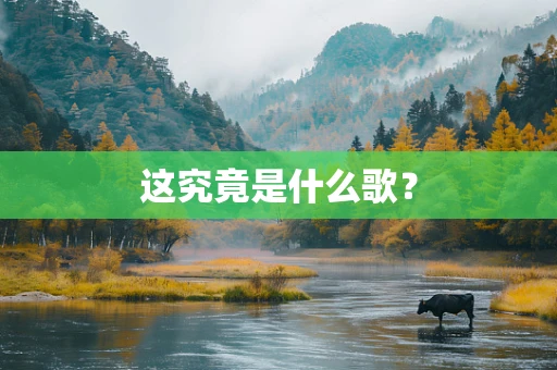 这究竟是什么歌？