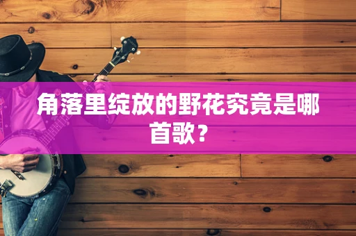 角落里绽放的野花究竟是哪首歌？