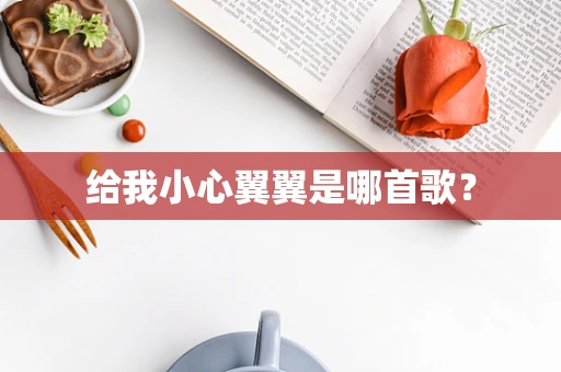 给我小心翼翼是哪首歌？