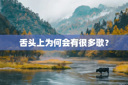 舌头上为何会有很多歌？