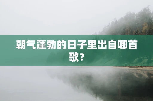 朝气蓬勃的日子里出自哪首歌？