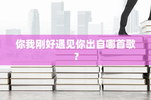 你我刚好遇见你出自哪首歌？
