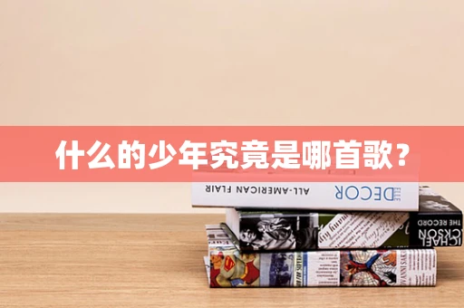 什么的少年究竟是哪首歌？