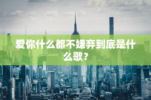 爱你什么都不嫌弃到底是什么歌？