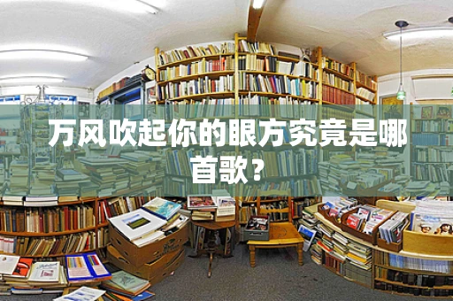 万风吹起你的眼方究竟是哪首歌？