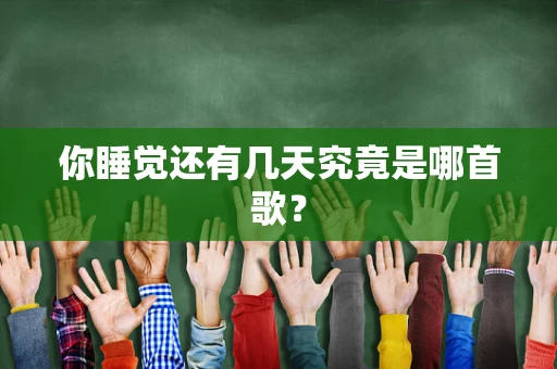你睡觉还有几天究竟是哪首歌？