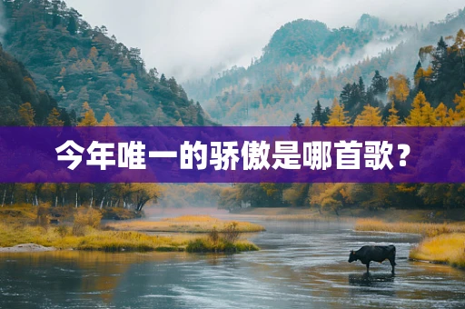 今年唯一的骄傲是哪首歌？