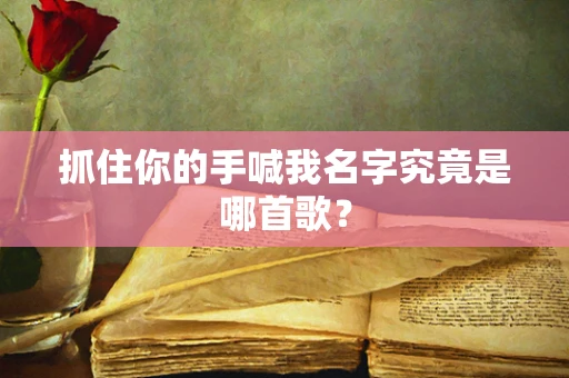 抓住你的手喊我名字究竟是哪首歌？
