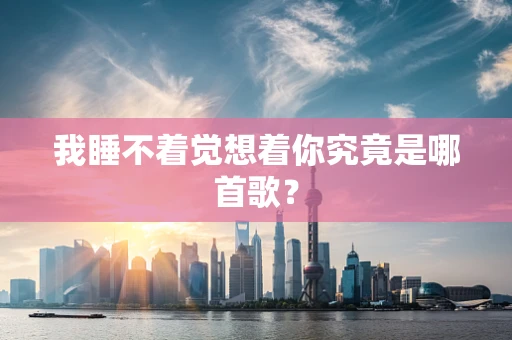 我睡不着觉想着你究竟是哪首歌？
