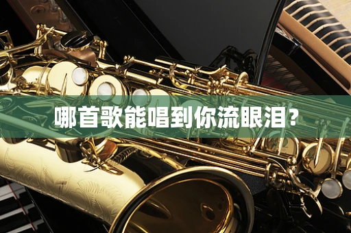 哪首歌能唱到你流眼泪？