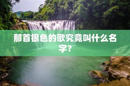 那首银色的歌究竟叫什么名字？