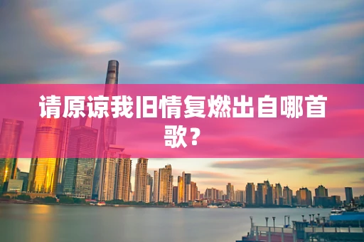 请原谅我旧情复燃出自哪首歌？