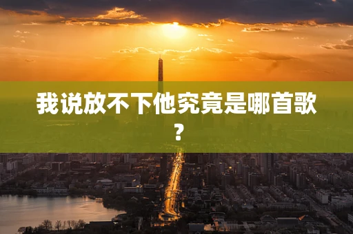 我说放不下他究竟是哪首歌？