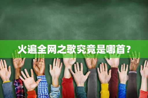 火遍全网之歌究竟是哪首？