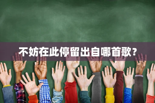不妨在此停留出自哪首歌？