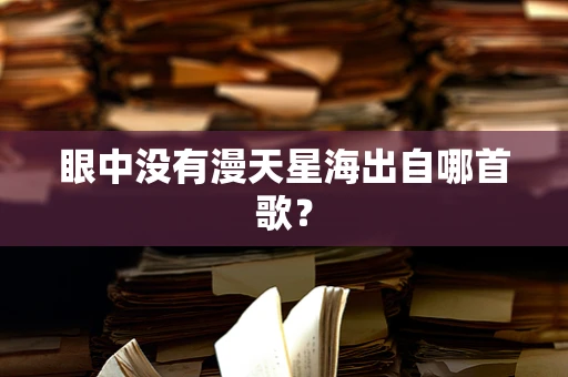 眼中没有漫天星海出自哪首歌？