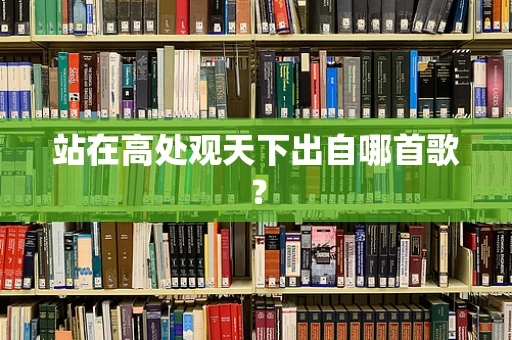 站在高处观天下出自哪首歌？