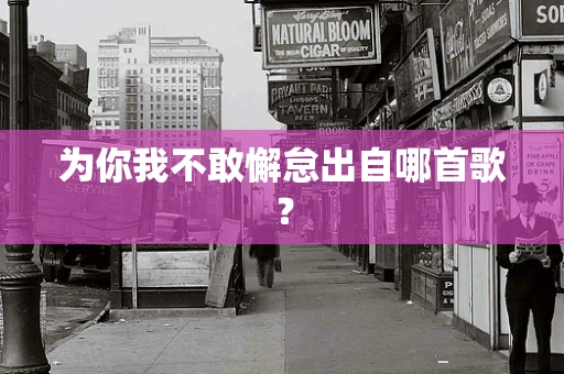 为你我不敢懈怠出自哪首歌？