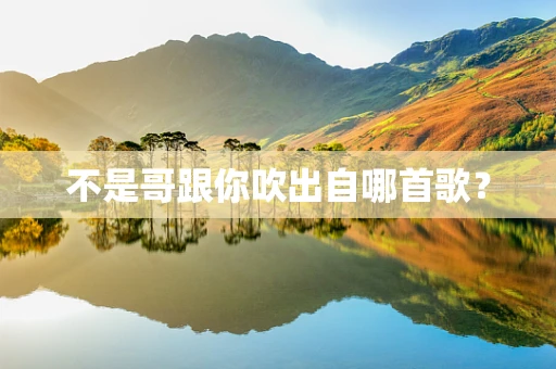 不是哥跟你吹出自哪首歌？