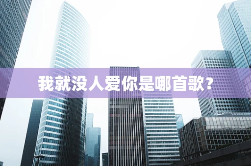 我就没人爱你是哪首歌？
