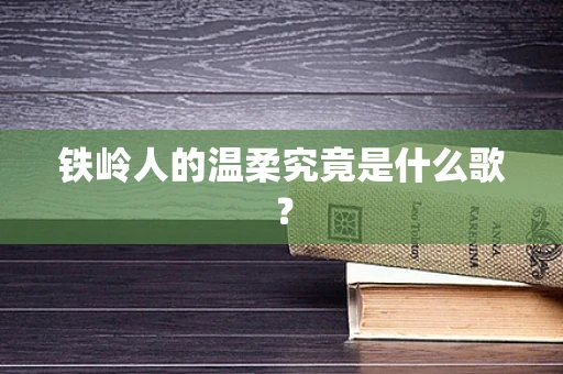 铁岭人的温柔究竟是什么歌？