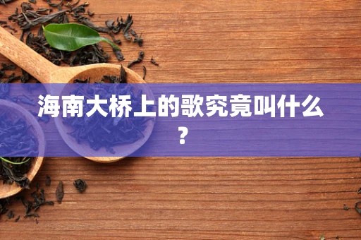 海南大桥上的歌究竟叫什么？