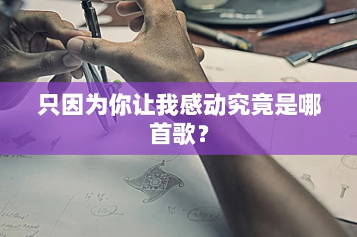 只因为你让我感动究竟是哪首歌？