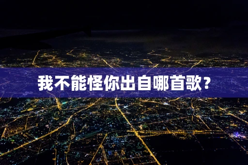 我不能怪你出自哪首歌？