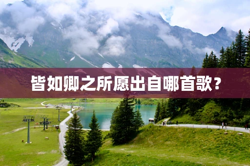皆如卿之所愿出自哪首歌？