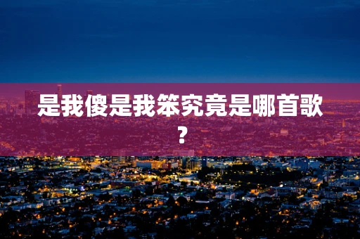 是我傻是我笨究竟是哪首歌？
