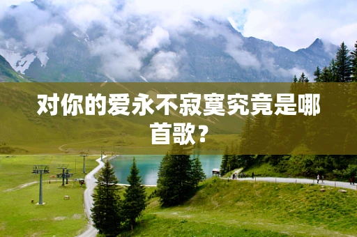 对你的爱永不寂寞究竟是哪首歌？