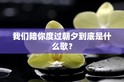 我们陪你度过朝夕到底是什么歌？